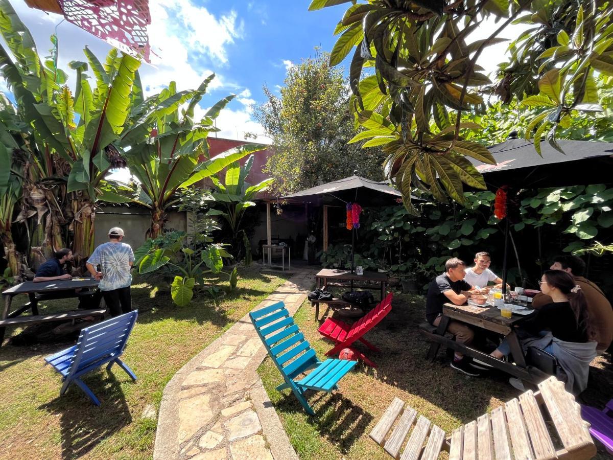 The Coffee Bean Hostel San Cristobal de las Casas Exterior photo